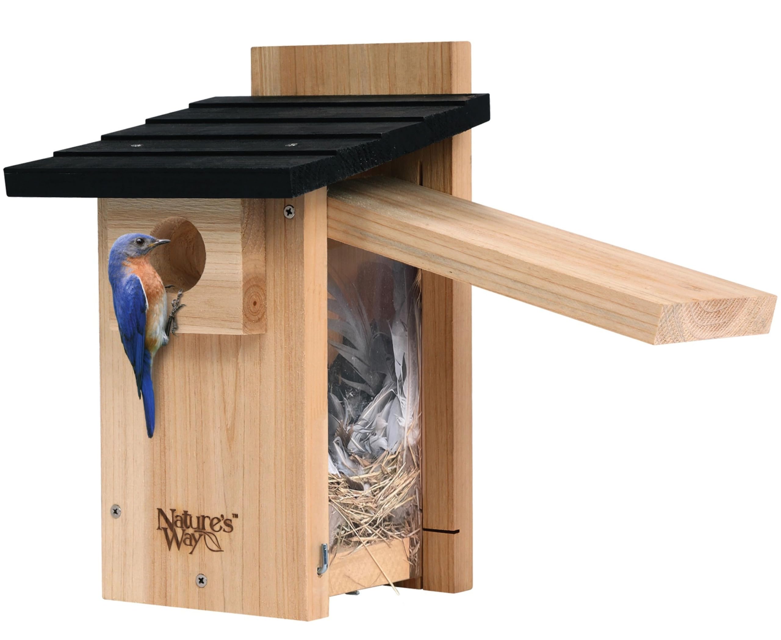 NATURES WAY BIRD PRODUCTS CWH4 Cedar Bluebird Viewing House