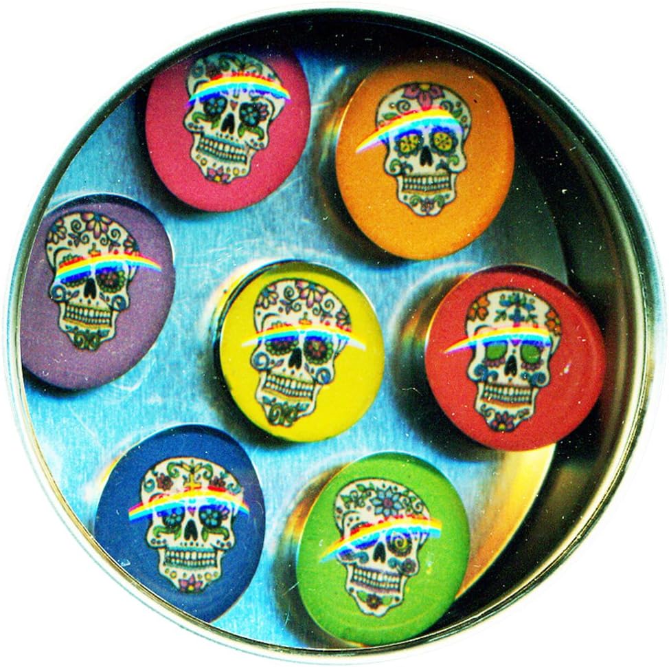 The 10 Best Refrigerator Magnets Dia De Las Muertas