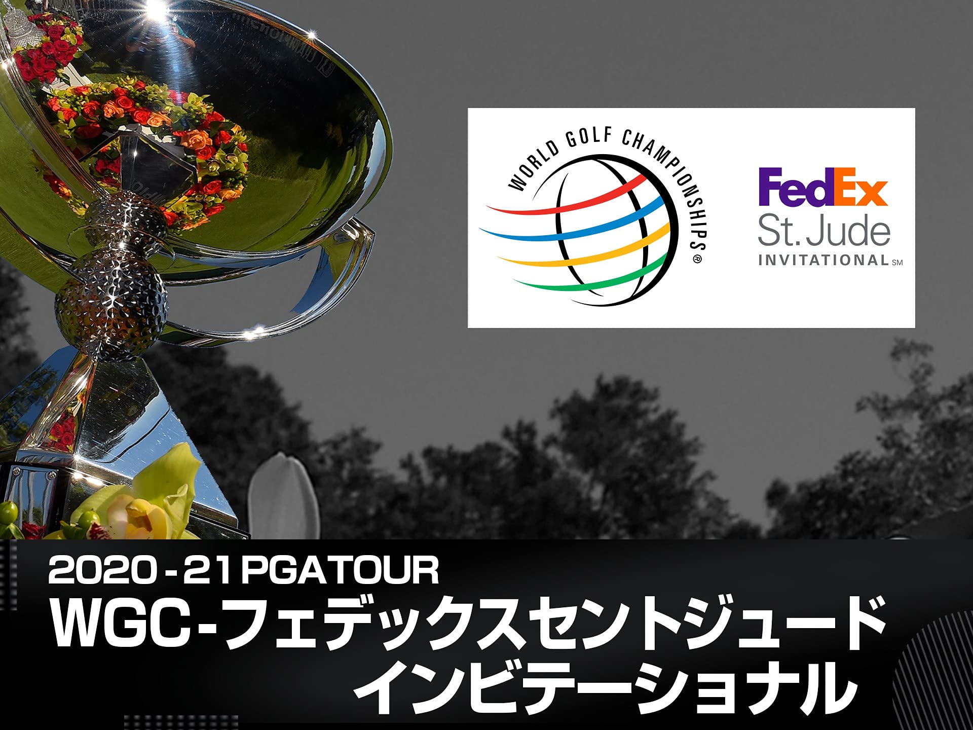 Amazon Co Jp Wgc デルテクノロジーズ マッチプレイを観る Prime Video