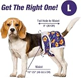 Pet Soft Washable Dog Nappies Female 3 Pack Large 19-25in Waist view 4