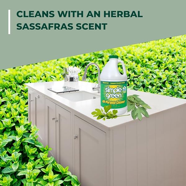 SIMPLE GREEN ALL PURPOSE CLEANER CONCENTRATE 64 FL OZ
