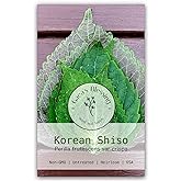 Gaea's Blessing Seeds - Korean Shiso Seeds (Perilla), Heirloom Non-GMO Seeds with Easy to Follow Planting Instructions, Korean Perilla, Open-Pollinated, 94% Germination Rate