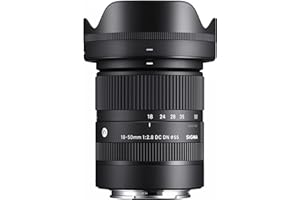 18-50mm F2.8 DC DN Contemporary for Sony E Black