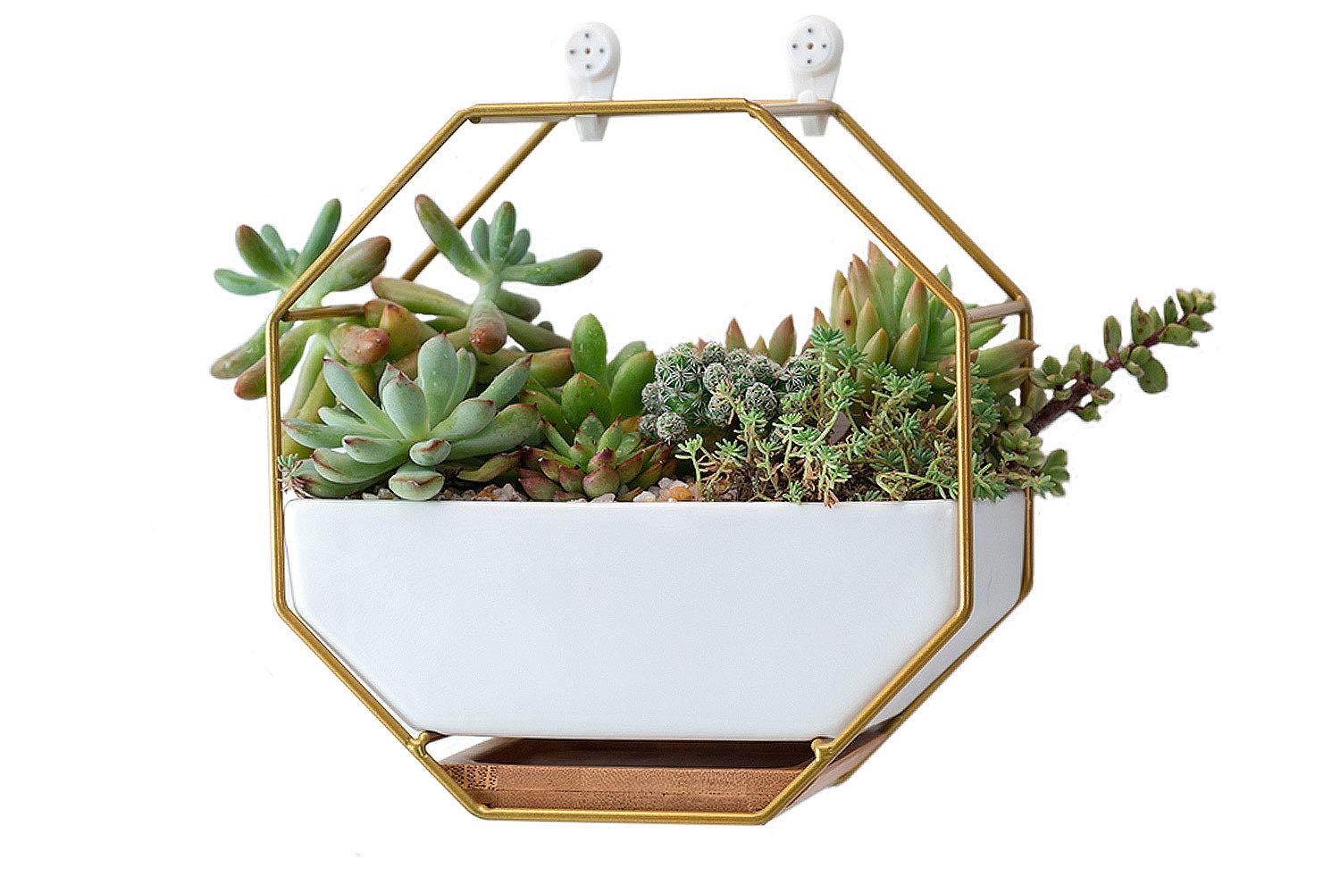 VanEnjoy 7" White Ceramic Wall Planters Vase and Copper,Drainage Hole with Bamboo Tray - Succulent Pot Air Plants Mini Cactus Artificial Flowers Hanging Geometric Hexagon Wall Decor (Gold Metal)