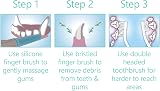 PetSol Dental Care Kit for Dogs & Cats Toothpaste 100g with 3 Brushes view 4