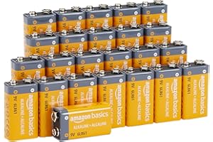 �鶹�� Basics 9V Everyday Alkaline Batteries (24-Pack)
