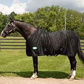Country Pride Cotton/Poly Stable Sheet, Adjustable Double Buckle Front, Bias Surcingles, Fleece Wither Protection, Nylon-Lined Shoulders, Removable Elastic Hind Leg Straps, Indoor Use (76, Black)