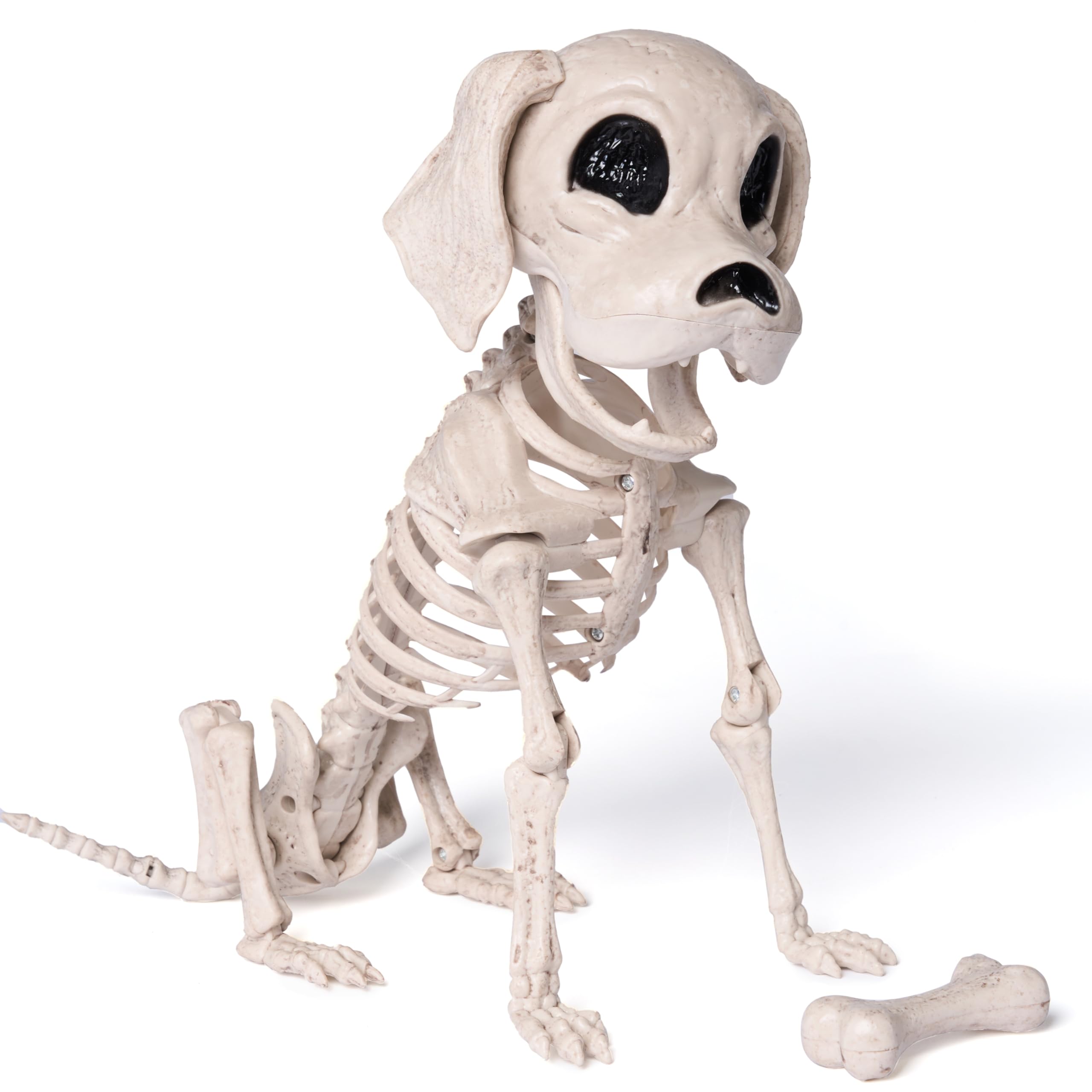 Photo 1 of JOYIN Posable Halloween Dog Skeleton Full Body Posable Joints Realistic Skeleton Puppy with Movable Joints for Halloween Decoration, Graveyard Party Decor (9.8” X 4.7” X 12.6”)