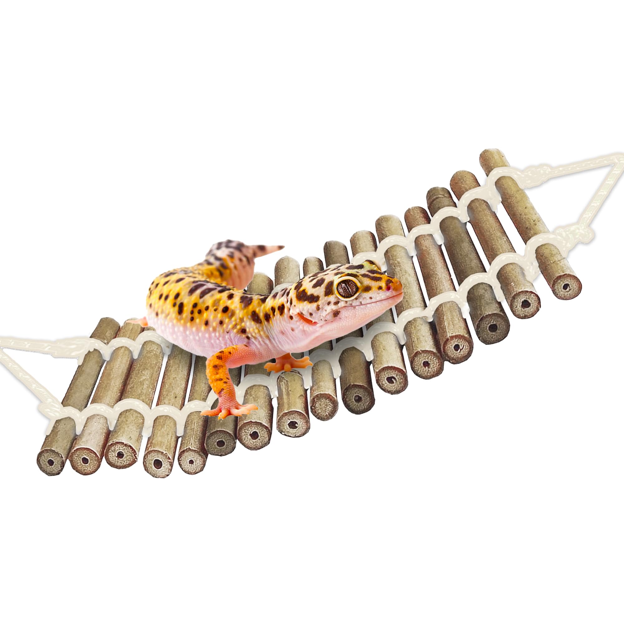 Photo 1 of SunGrow Bamboo Gecko Reptile Climbing Bridge and Lizard Lounge, 18” Swinging Hideout Bridge, Helps Leopard Geckos with Thermoregulation, Increases Habitat Space, Can Be Submerged in Water