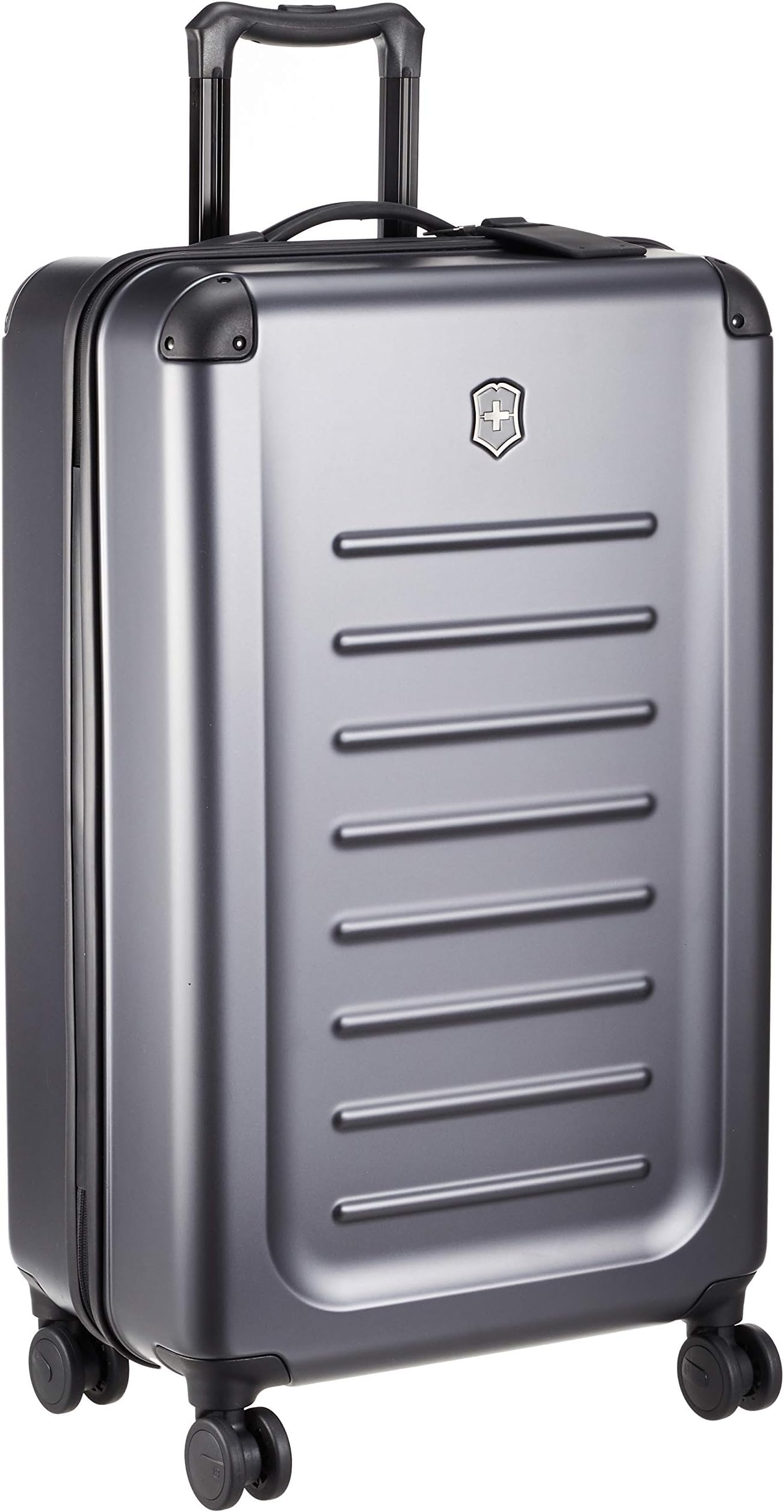 Spectra 2.0 Large 18.1 Color, Rabbit