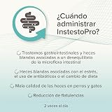 Beaphar IntestoPro Prebiotic Stool Firming Paste for Cats & Small Dogs 1 Syringe view 7