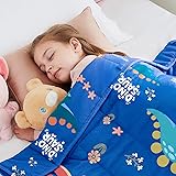 HOSUKKO Weighted Blanket - 5 lbs Blue Dinosaur