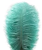 Lampu 10pcs Ostrich Feathers 12-14