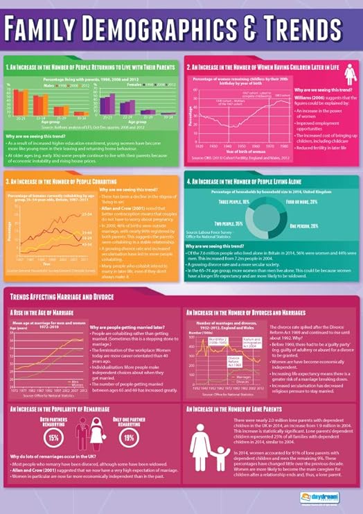 What is the function of family in american culture today essay image