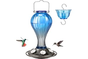 Kingsyard Glass Hummingbird Feeder 24 Ounces, 6 Feeding Ports, Hanging Bird Nectar Feeder for Outdoors Garden Yard Décor, Ant