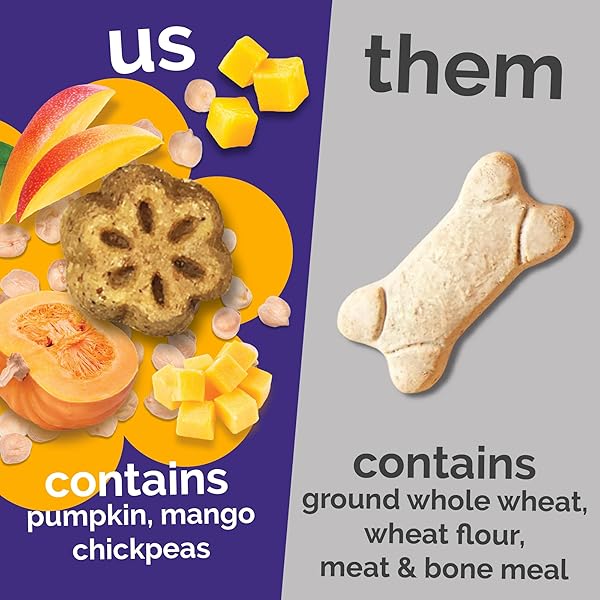 FRUITABLES SKINNY MINIS DOG TREATS, HEALTHY PUMPKIN TREAT FOR DOGS, LOW CALORIE & DELICIOUS, PUPPY TRAINING, NO WHEAT, CORN OR SOY, MADE IN THE USA, PUMPKIN AND MANGO FLAVOR, 5OZ
