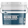 Earthborn Elements Washing Soda (1 Gallon), Soda Ash, Sodium Carbonate, Non-Toxic Laundry Booster