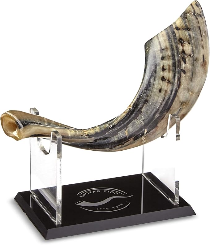 KOSHER ODORLESS NATURAL SHOFAR Genuine Rams Horn Made