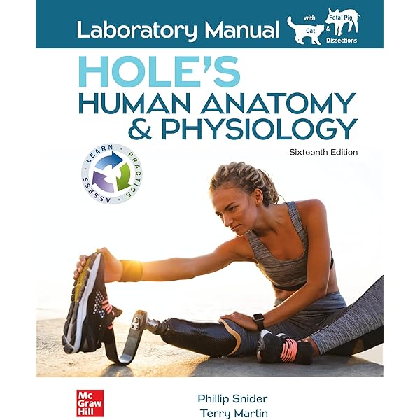ISE Hole's Human Anatomy & Physiology: Charles Welsh, Cynthia