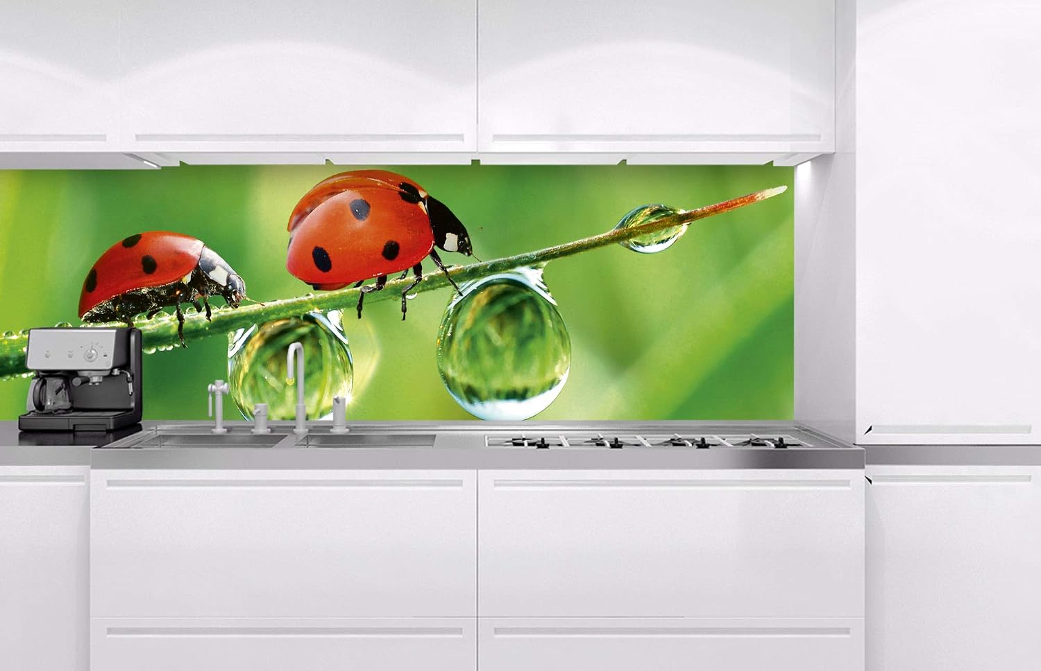 DIMEX LINE Peel and Stick Kitchen Backsplash Sticker Ladybug, Grün, 180 x 60 cm - Image 3
