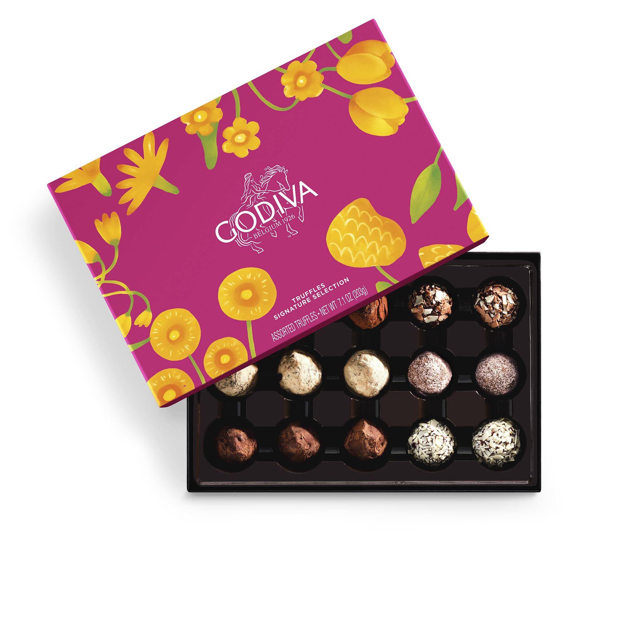 Godiva Signature Truffles Limited Edition Spring Gift Box, Belgian Dark & Milk Chocolates with Ganache Centers, Gourmet Mother's Day Chocolate Gifts, Kosher, 15 Pc Image
