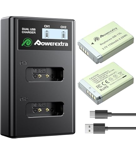 Amazon.com : Batteries 2 Pack for Canon PowerShot SX620 HS, SX720