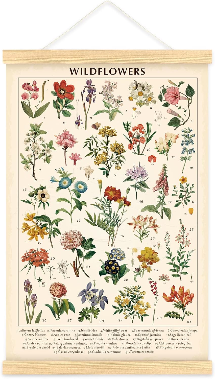 Wall Décor - Vintage Wildflowers Poster Botanical Wall Art Prints Colorful Rustic Style of Floral Wall Hanging Illustrative Reference Flower Chart Poster for Living Room Office Bedroom Decor Frame 15.7 x 23.6 Inch