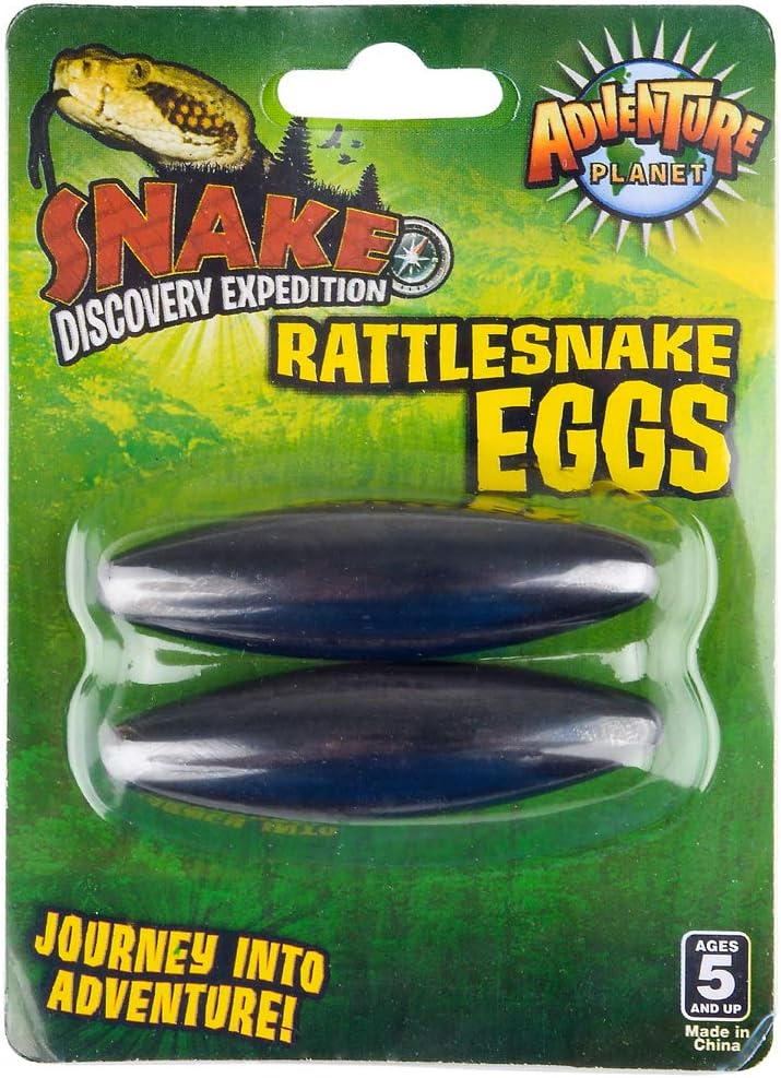 snake egg magnets