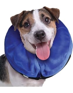 vampirina stuffed toys