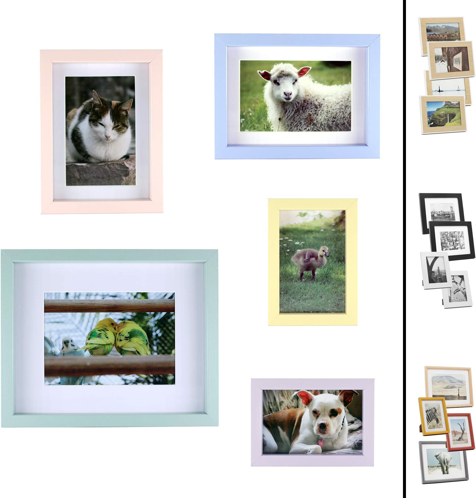 Quubik Design - Unique Picture Frame Set in Spring Colors - Set of 5 in Sizes 4x6in, 5x7in and 8x10in - Other Styles Available
