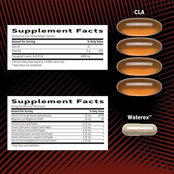 GNC AMP MEN’S RIPPED VITAPAK PROGRAM, 4 IN 1 PRODUCT VITAMIN PACK, METABOLISM & LEAN MUSCLE TONE, BURN CALORIES, WATER SHEDDING, ADULT MULTIVITAMIN, CAFFEINE, CLA, PROVEN INGREDIENTS, 30-DAY SUPPLY