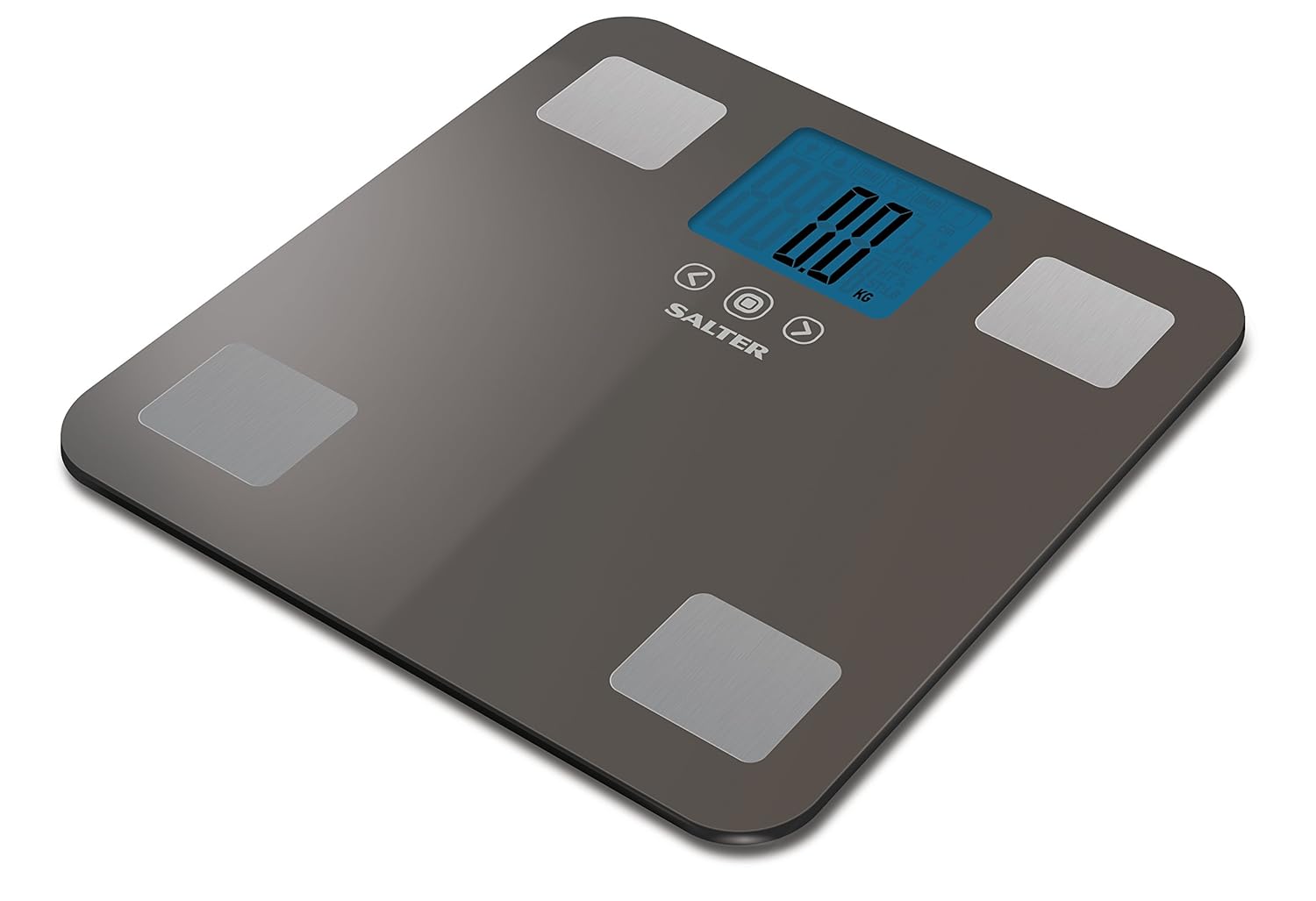 Salter 9179SV3R Max 250 Kilogram, Digital Scales Measure Weight, Body