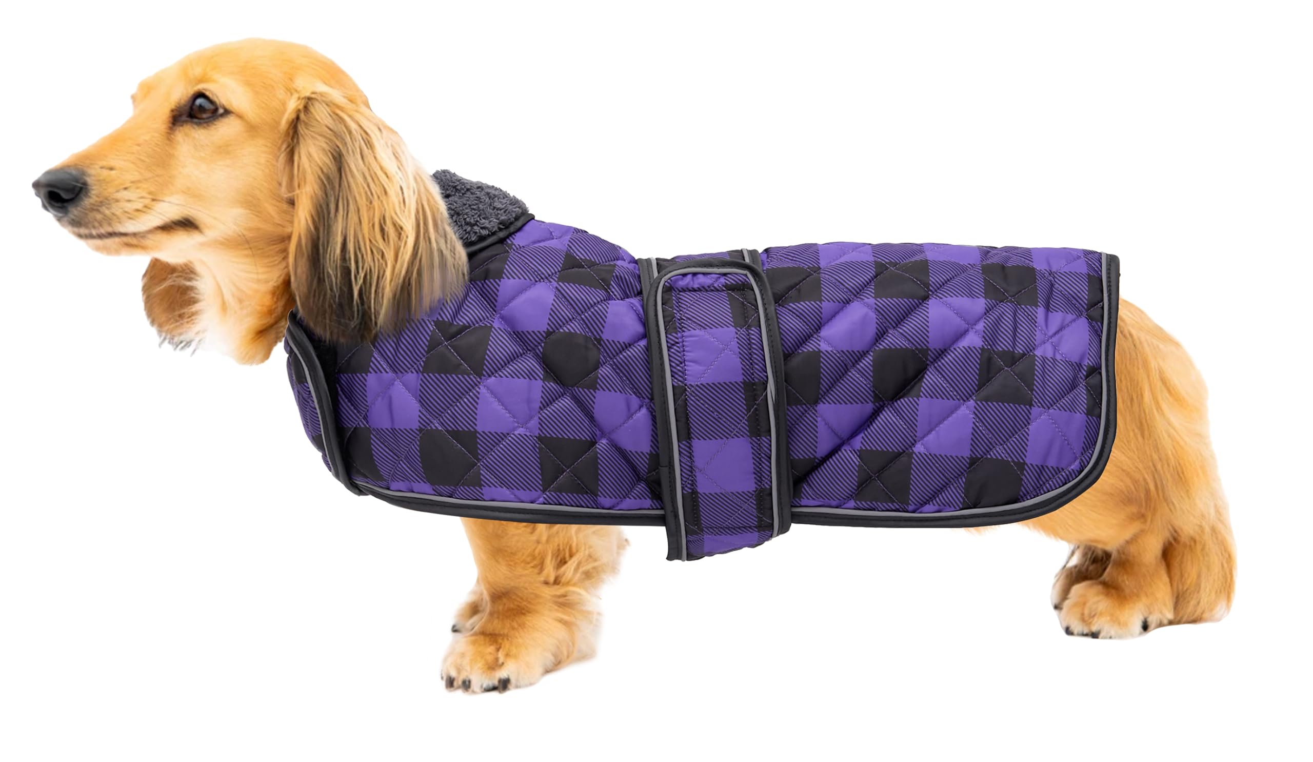 Geyecete Waterproof Warm Thermal Quilted Dachshund Coat with warm fleecy lining inside,Outdoor Dog Apparel with Adjustable Bands for Small,Medium Dog-Purple-XS — image 1