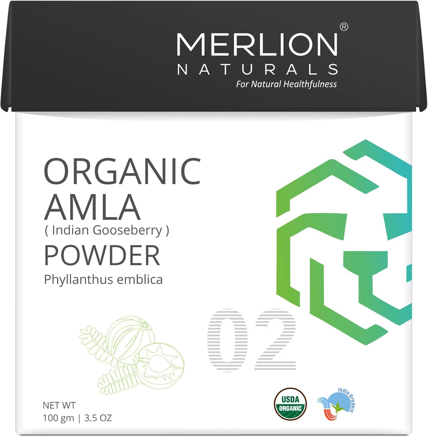 Organic Amla Powder by Merlion Naturals |Superfood | Phyllanthus Emblica | NPOP India and USDA NOP Certified 100% Organic | Supports Immunity (3.5 OZ): Health & Personal Care