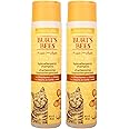 Burt's Bees for Pets Hypoallergenic Shampoo for Cats with Shea Butter and Honey, 2pk, 99.7% Natural Origin Formulas, Pet Shampoo for Cats, Gentle Cat Shampoo, Cat Shampoo for Itchy Skin, 2pk, 10 oz