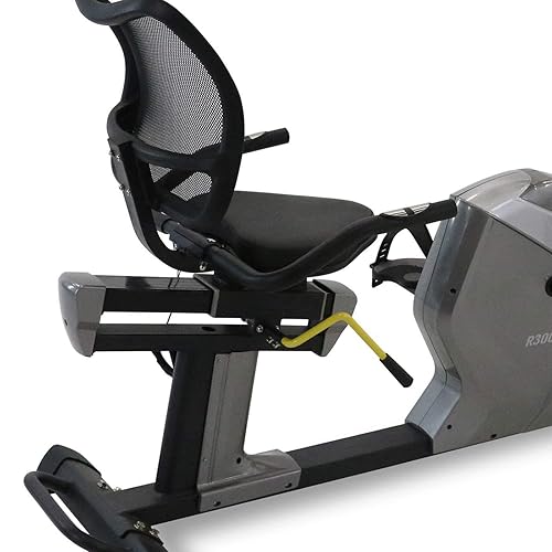 Bladez Fitness R300 II Recumbent Bike in Oman Whizz Exercise Bikes