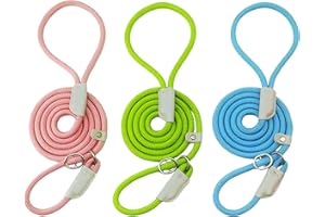 Nordkawa Durable Slip Lead, 3pcs Slip Leads for Dogs, 5 FT Slip Lead Dog Leash Adjustable Dog Training Leash, Strong Nylon Rope Slip Leash for Large Medium Small Dogs (Green/Pink/Blue)