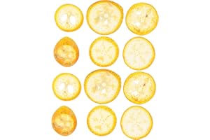 SEWACC 12pcs Dried Orange Chips for DIY Crafts, Pressed Fruit Slices Handmade Decoration for Resin and Home