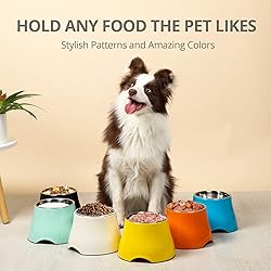 yoken Elevated Dog Bowls, [Prevention of Vertebrae