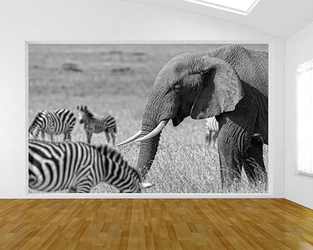 Avoir Images Bilderdepot24 Papier Peint Intisse La Savane Afriquaine Ii le plus cool salutations