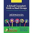 A School Counselor's Guide to Small Groups: Coordination, Leadership, and Assessment
