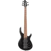 Cort Artisan Series B5 Element 5-String Bass Guitar, Open Pore Transparent Black