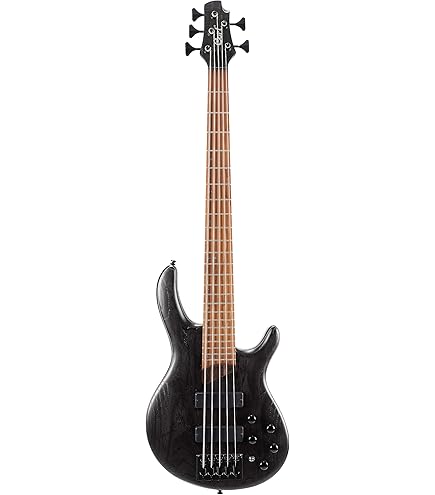 Cort 5弦ベース B5 20th Amazon.com: Cort, 5-String Bass Guitar, Right, Open Pore Burgundy