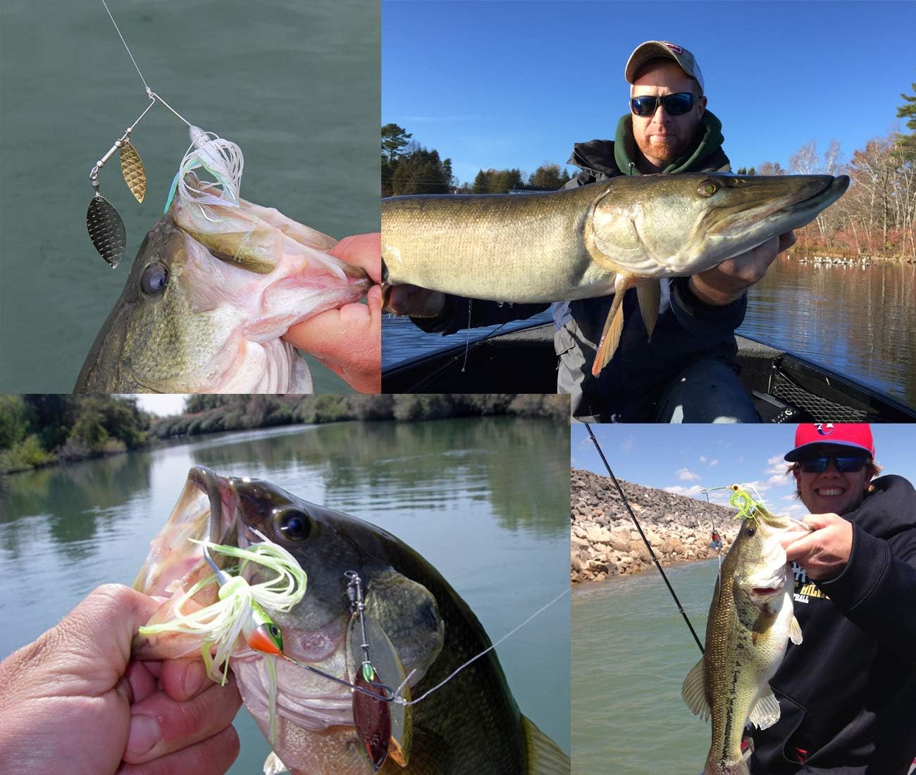JSHANMEI Fishing Spinnerbait Lures Kit, Hard Metal Spinner Bait Jig Lures Buzzbait Swimbait for Pike Bass Trout Salmon Freshwater Saltwater Fishing : Sports & Outdoors