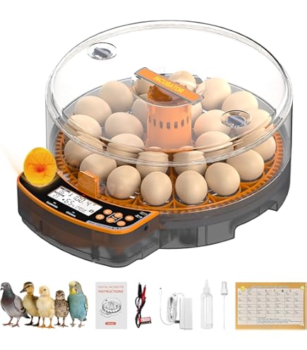 Amazon.com: 18-33 Egg Incubator for Hatching Eggs, Automatic Egg