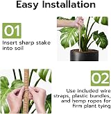 Mcbazel Moss Pole 2-Pack 60cm Bendable Coir Plant Support with Ties view 4