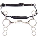 Cavalon Western Low Port Barrel Combination Bit with Leather Noseband
