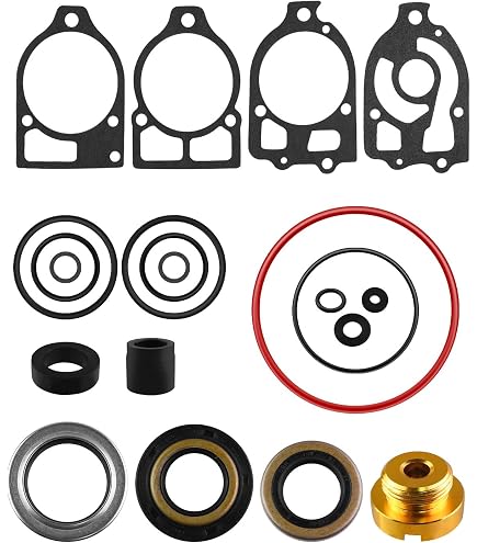 Amazon.com: REPLACEMENTKITS.COM - Lower Gearcase Seal Kit fits