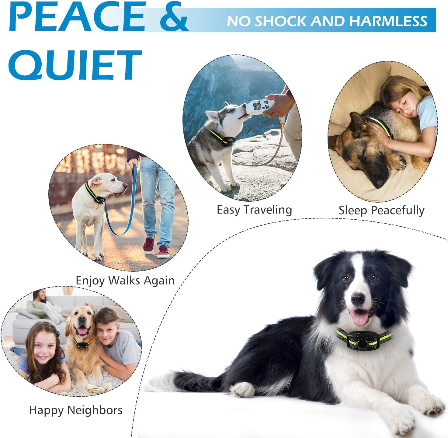 Flittor Bark Collar, NO Shock Anti Barking Dog Collars with Rechargeable Adjustable Sensitivity and Intensity Beep Vibration - No Harm Shock for Small Medium Large Dogs : Kitchen & Dining