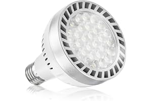 Broadroad LED Pool Light Bulb 120V 65W Daylight White 6000K Swimming Pool 6000LM Pool Light Bulb Replacement for Most Pentair Hayward Light Fixtures (Pool 65W)